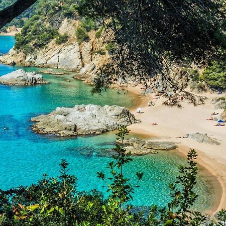 Al11 Apartamento Albert Lloret de Mar Zewnętrze zdjęcie