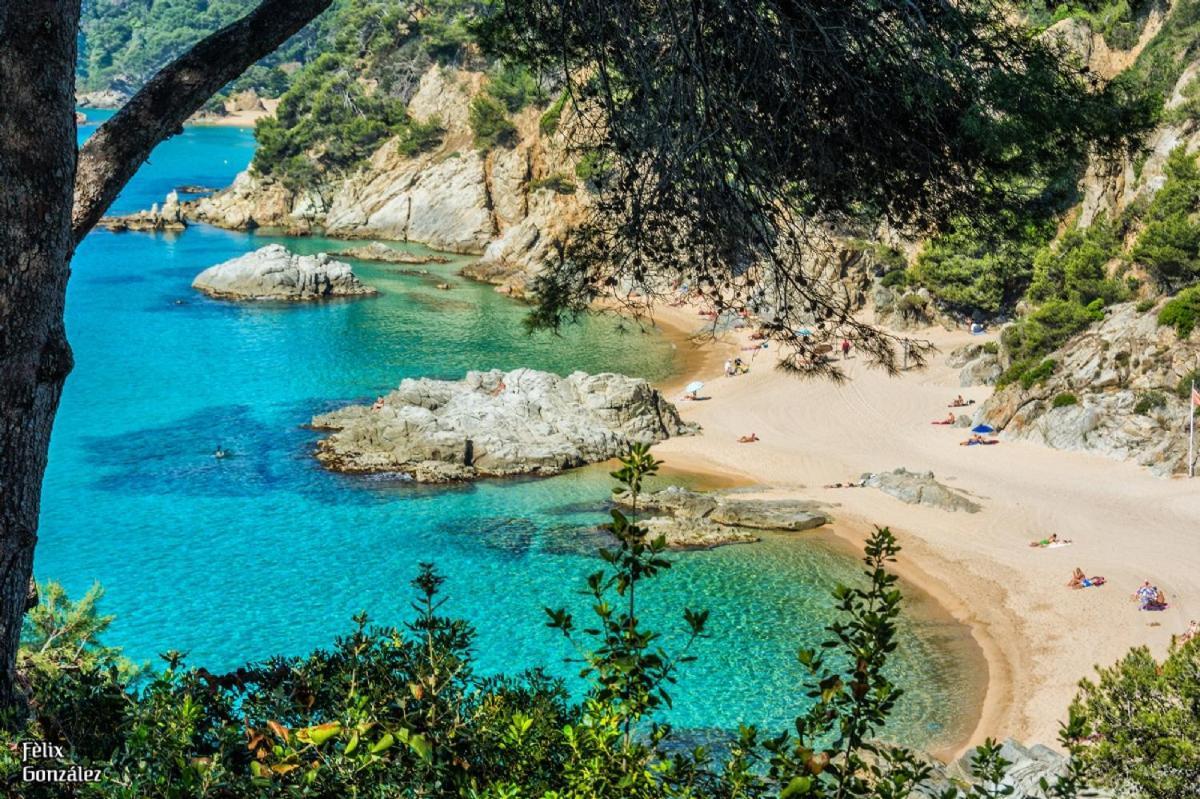 Al11 Apartamento Albert Lloret de Mar Zewnętrze zdjęcie